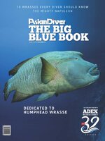 Scuba Diver/Asian Diver